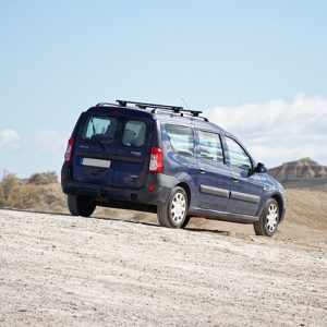 Small Cargo Truck (1 - Ton Load Capacity)，2 days
