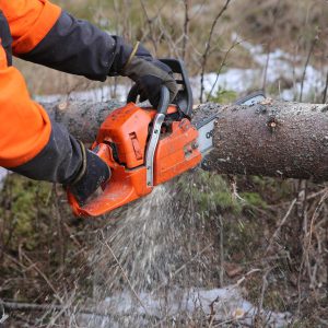 High - Powered Electric Saw，2 days