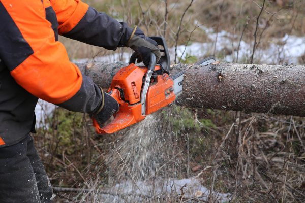 High - Powered Electric Saw，2 days