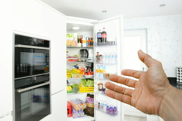 Double - Door Refrigerator (Capacity: 300 Liters)，2 days