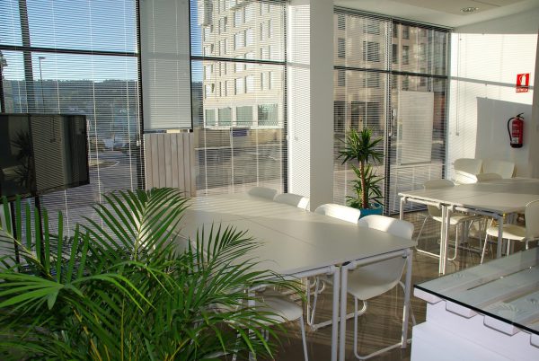 Office Desk and Chair Set (10 - Person Capacity)，2 days